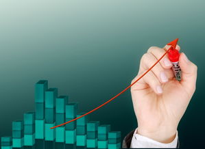 体育公益项目影响力持续扩大，体育公益组织