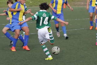 新星崛起：季后赛中的逆转奇迹！，新星崛起什么意思